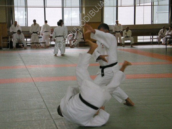 Examen Realizando un Kata de Judo en el Kodokan de Tokio-08.jpg